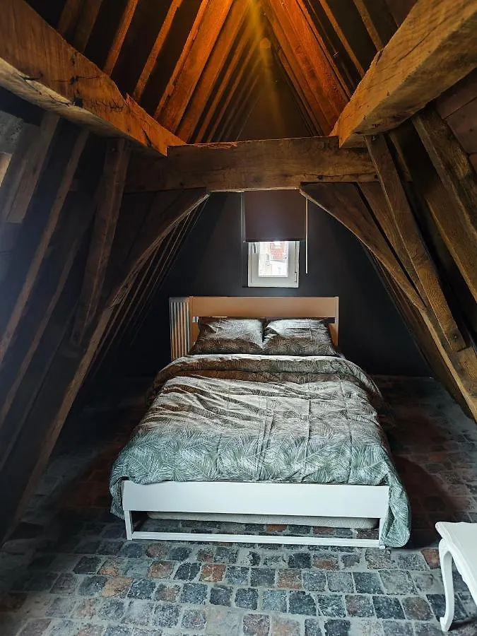 Rooftop Apartment With 60M Terrace Overlooking The Cathedral Antuérpia